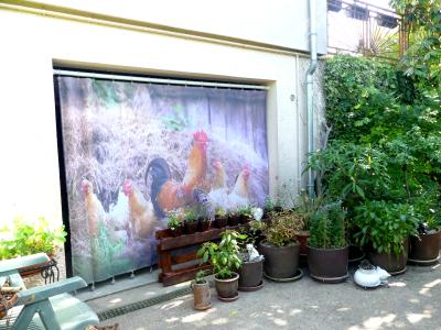 p1030232.jpg
