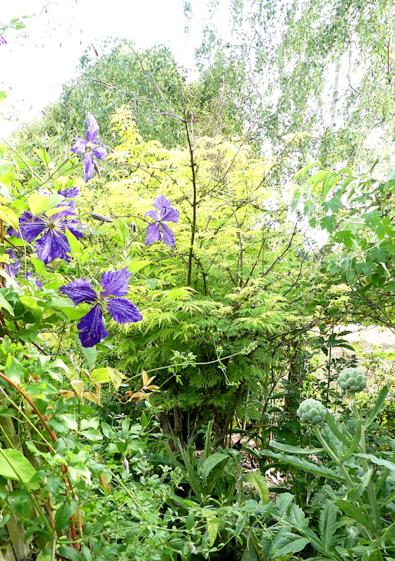 p1030350.jpg