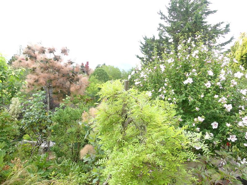 p1030438.jpg p1030438.jpg