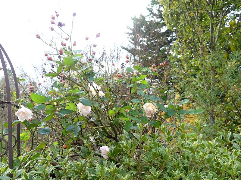p1030740.jpg