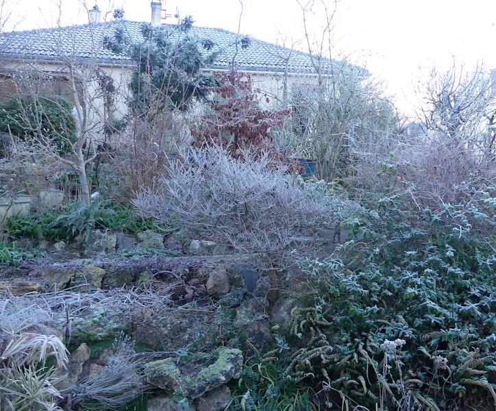 p1030860.jpg