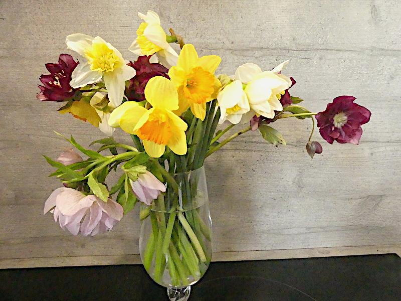 p1030923.jpg