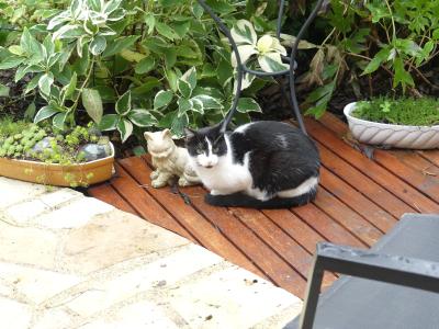 p1050142.jpg