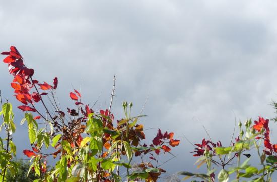 p1050162.jpg