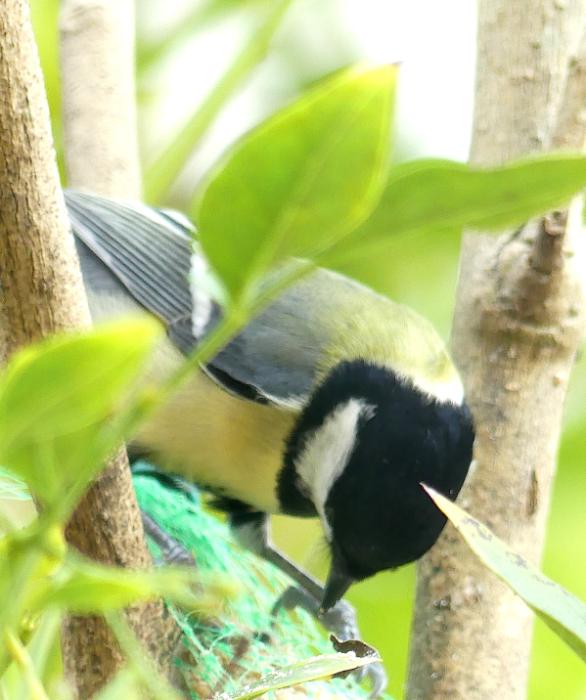 p1050173.jpg
