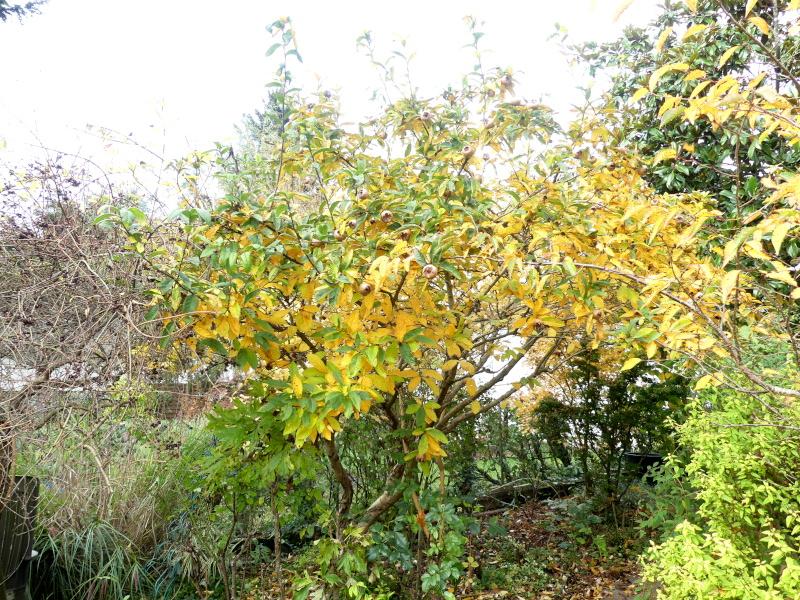 p1050186.jpg