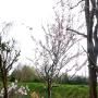 p1050448.jpg