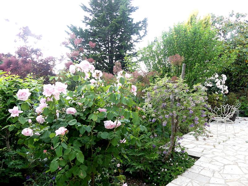 p1060096.jpg