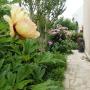 p1060160.jpg