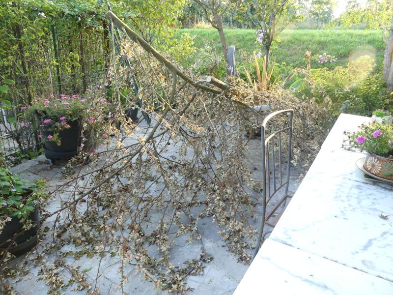 p1060591.jpg p1060591.jpg