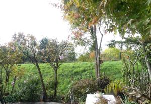 p1060680.jpg p1060680.jpg