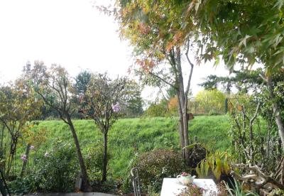 p1060680.jpg p1060680.jpg