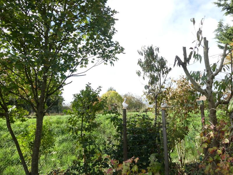 p1060682.jpg p1060682.jpg