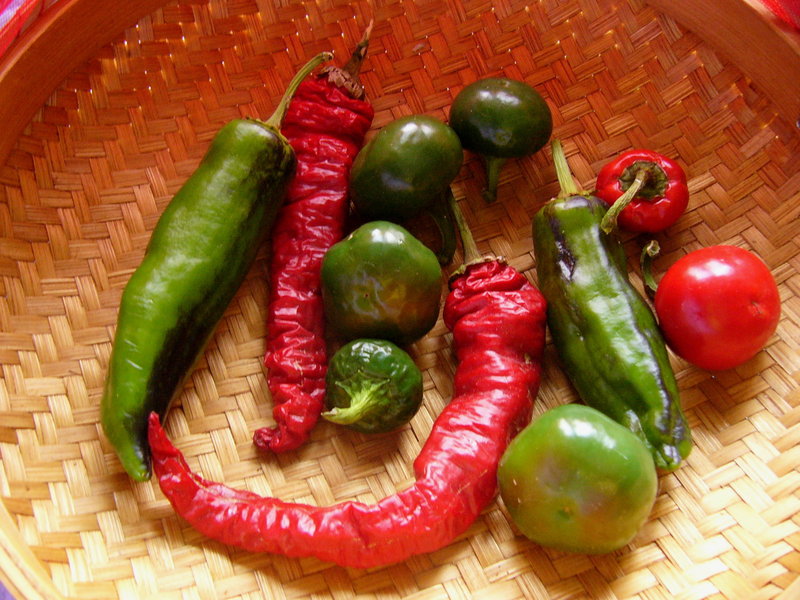p1270003.jpg
